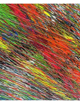 N° 817 -  Colorfull